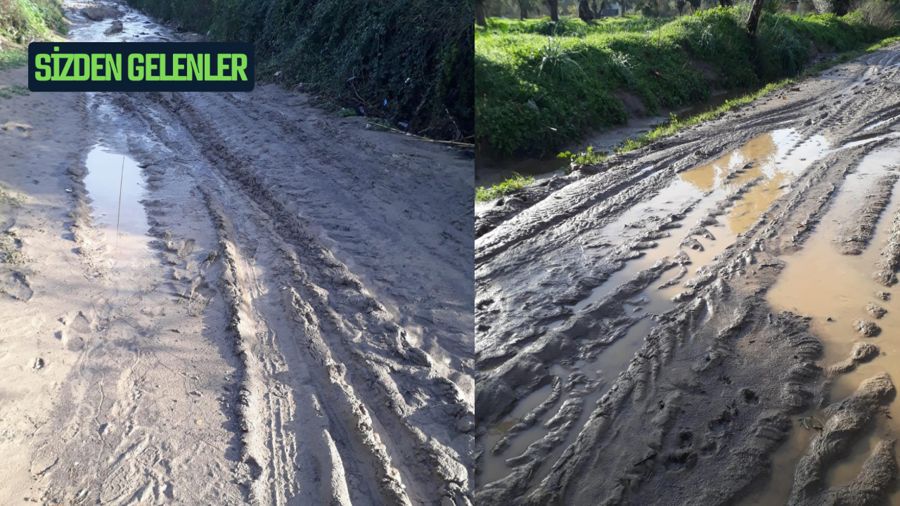 Milaslı Vatandaştan Yol İsyanı: Yağışlar Kalp Hastası Babamızı Tehdit Ediyor! Muğla'nın Milas ilçesine bağlı Kırcağız Mahallesi köy altı mevkisinde yaşayan