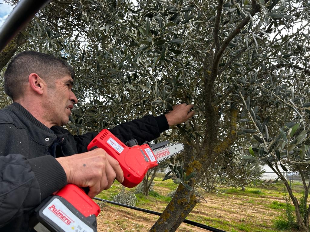 Milas Belediyesi, Milas Ticaret ve Sanayi Odası ve Zeytincilik Araştırma