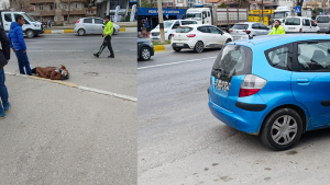 Muğla'nın Milas ilçesine bağlı Cumhuriyet Mahallesi Halilbey Bulvarı üzerinde meydana