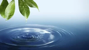 Ikinci Cemre, Baharı Müjdeledi