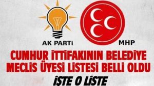 Ak Parti Milas İlçe Başkanı Emin Çelik ve Milliyetçi Hareket