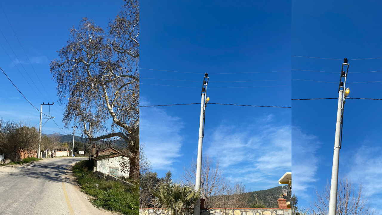 Muğla'nın Milas ilçesine bağlı Hacıabti Mahallesi'nde, Balçık Mevkii'ndeki küme evlerinin