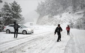 Muğla'nın Kavaklıdere ilçesinde, Göktepe Dağı ile Gökçukur Yaylası'nda, Mart ayında