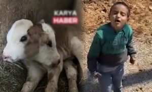 Milas dışında başka yerlerde çekilen vidoların, bazı internet siteleri tarafından