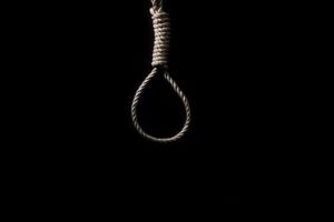 Muğla’nın Milas ilçesinde, bir kişi zeytin ağacında asılı olarak bulundu,