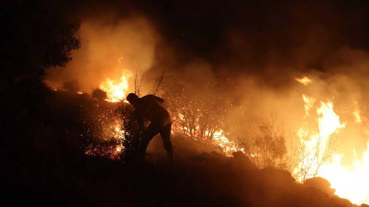 Muğla’nın Milas ilçesine bağlı Boğaziçi Mahallesinde çıkan yangın büyük endişeye