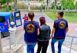 Kaynak: İHA Muğla İl Jandarma Komutanlığı tarafından Yatağan-Milas karayolu üzerinde