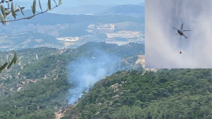 Muğla’nın Milas ilçesine bağlı Kargıcak mahallesinde orman yangını çıktı. Milas