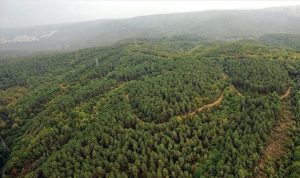 Muğla’da, Orman Yangınlarıyla Mücadele Komisyonu tarafından alınan kararla, artan sıcaklıklar