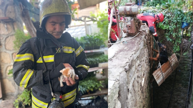 Muğla’nın 13 ilçesinde 41 noktada hizmet veren Muğla Büyükşehir Belediyesi