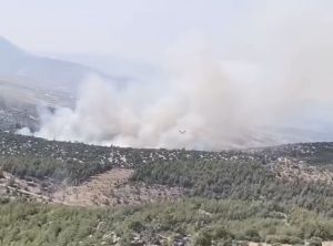 Milas’ın Alaçam Mahallesi yakınlarında 4 Haziran 2024 Salı günü saat