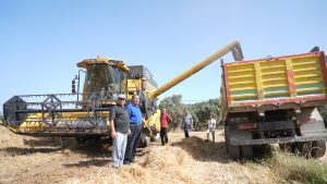 Milas Belediyesi üreticilere destek olacak çalışmalara devam ediyor. Üreticilerin daima