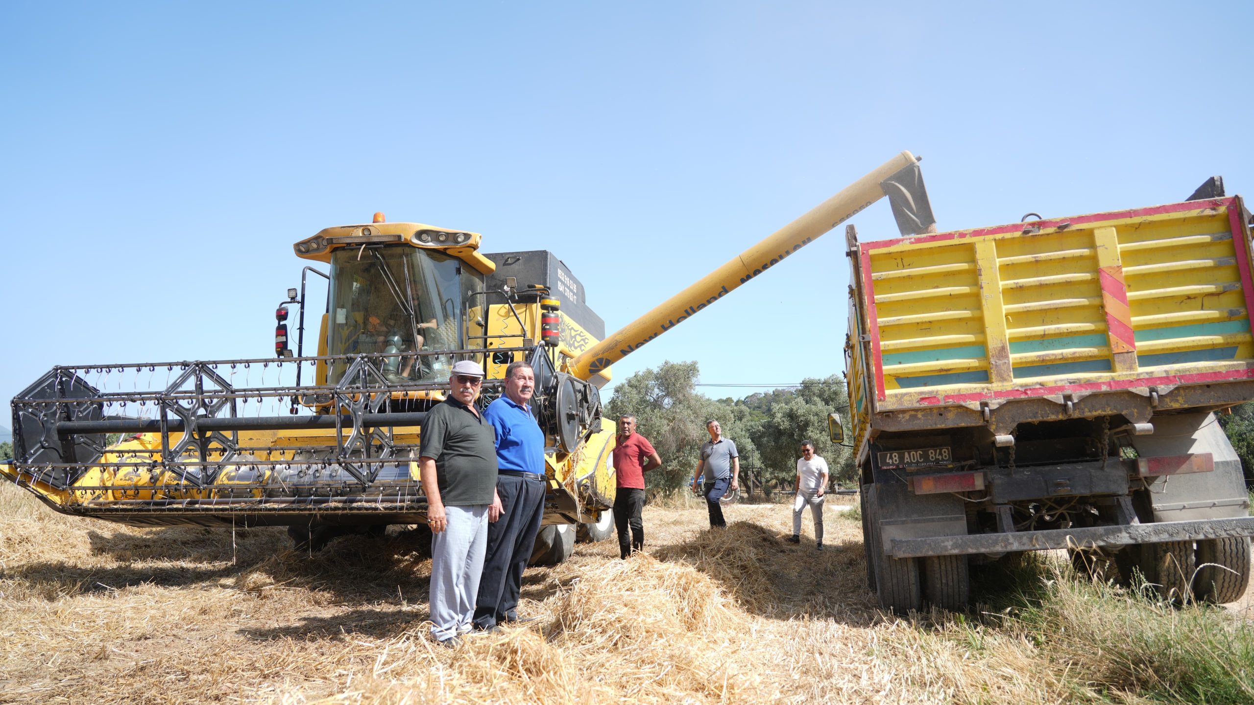 Milas Belediyesi Buğday ve Tritikale Hasadı Gerçekleştirdi Milas Belediyesi üreticilere destek olacak çalışmalara devam ediyor. Üreticilerin daima