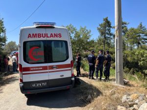 Muğla’nın Yatağan ilçesi Cazkırlar Mahallesi Kocagedik Mevkii’nde serinlemek amacıyla sulama