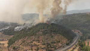 Muğla’nın Yatağan ilçesinde, Yava Mahallesi’nde çıkan yangınla ilgili olarak M.Ş.