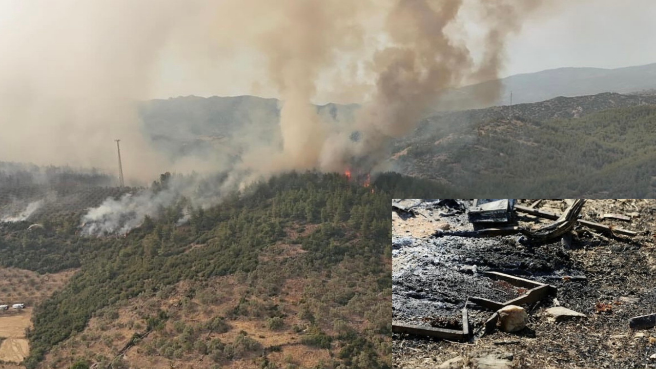 Muğla’nın Yatağan ilçesinde arılara bakım yaparken orman yangınına sebep oldukları