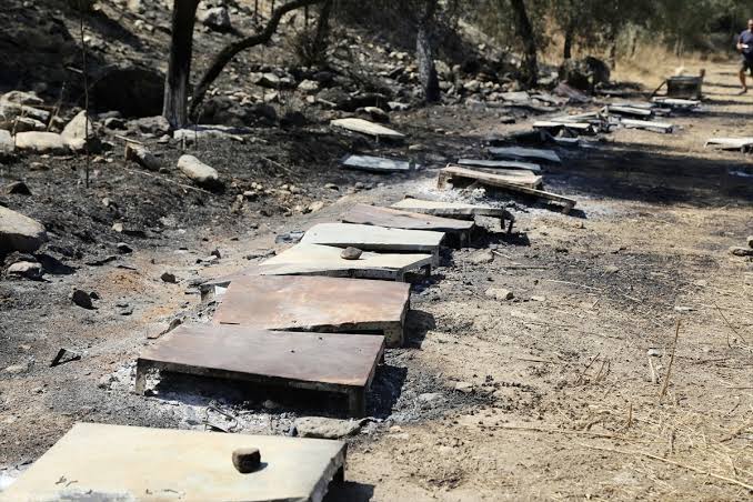 Yatağan Yangınına Neden Olan Baba ve Oğul Tutuklandı 18 Ağustos Salı günü Muğla’nın Yatağan ilçesine bağlı Yava Mahallesi