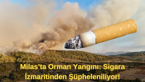 Muğla’nın Milas ilçesi Beçin Çamovası yakınlarında çıkan orman yangını, rüzgarın