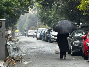 Muğla’nın Milas ilçesinde sabah saatlerinden itibaren etkili olan sağanak yağış,