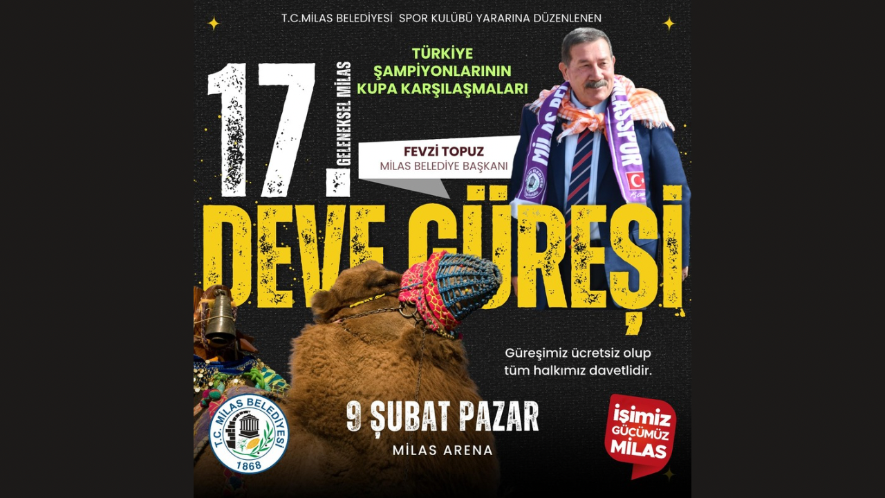 Yılın Büyük Deve Güreşi Milas’ta Gerçekleşecek Milas Belediye Başkanı Fevzi Topuz himayesinde Milas Belediyesi Spor Kulübü