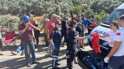 Muğla’nın Milas ilçesinden Aydın’ın Söke ilçesine yolcu taşıyan bir minibüs,