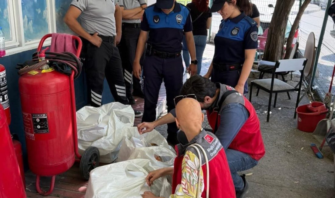 Muğla’nın Yatağan ilçesinde otogarda gerçekleştirilen denetimlerde, üretim yeri ve etiketi