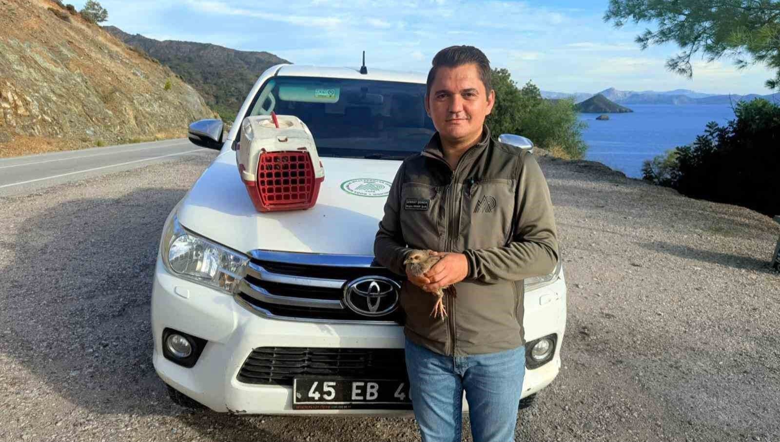 Muğla’nın Datça ilçesinde yasa dışı yollardan Kınalı Keklik satmaya çalışan