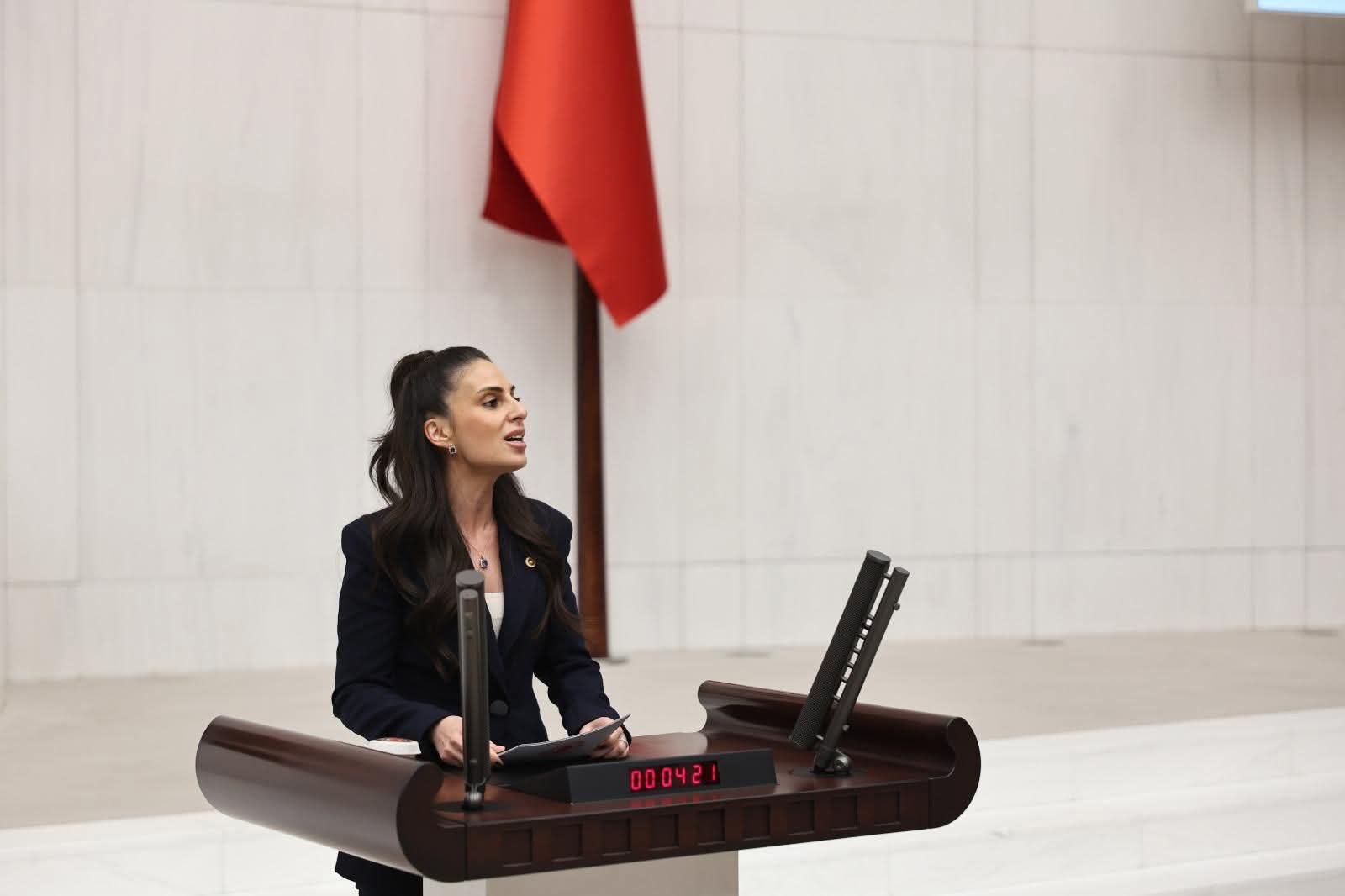 Özcan: “Saray Bir Günde 2 Bin 624 Asgari Ücret Harcıyor, İktidar Bilinçli Yoksullaştırma Politikası İzliyor” Muğla Milletvekili Av. Gizem Özcan, TBMM Genel Kurulu’nda yaptığı konuşmada