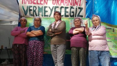 Muğla’nın Milas ilçesine bağlı İkizköy’de bulunan Akbelen Ormanı’nda, kömür madeni